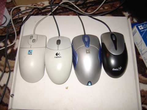 7095758.jpg