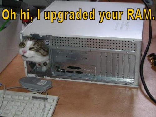12649609663883.jpg