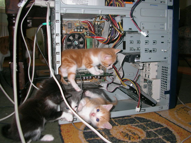 pc.jpg