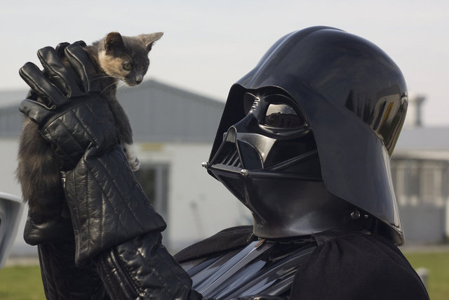 vader_likes_cats_by_andyk77-d4gtzgh.jpg