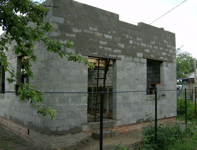 9839884.jpg